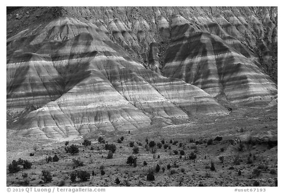 Colorful badlands of Chinle formation, Old Paria. Grand Staircase Escalante National Monument, Utah, USA (black and white)