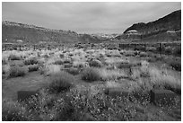 Old Pahrea cemetery. Grand Staircase Escalante National Monument, Utah, USA ( black and white)