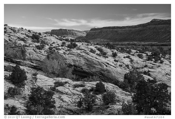 Slickrock and Comb Ridge. Bears Ears National Monument, Utah, USA (black and white)