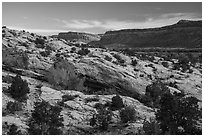 Slickrock and Comb Ridge. Bears Ears National Monument, Utah, USA ( black and white)