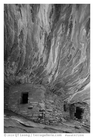 Flame Ceiling Ruin. Bears Ears National Monument, Utah, USA (black and white)