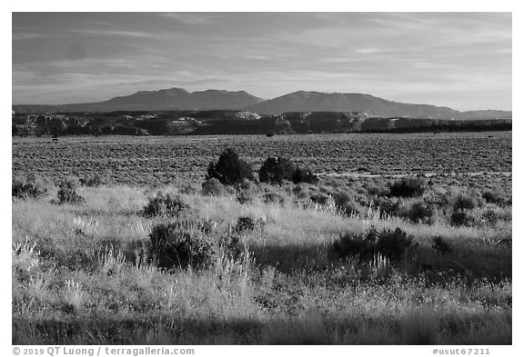 Hatch Point Plateau, cliffs and mountains. Bears Ears National Monument, Utah, USA (black and white)