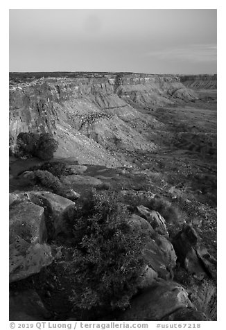 Canyon Rims, dusk. Bears Ears National Monument, Utah, USA (black and white)