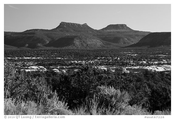 Bears Ears. Bears Ears National Monument, Utah, USA (black and white)