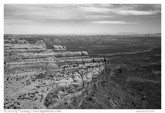 Valley of the Gods and cliff from edge of Cedar Mesa. Bears Ears National Monument, Utah, USA (black and white)