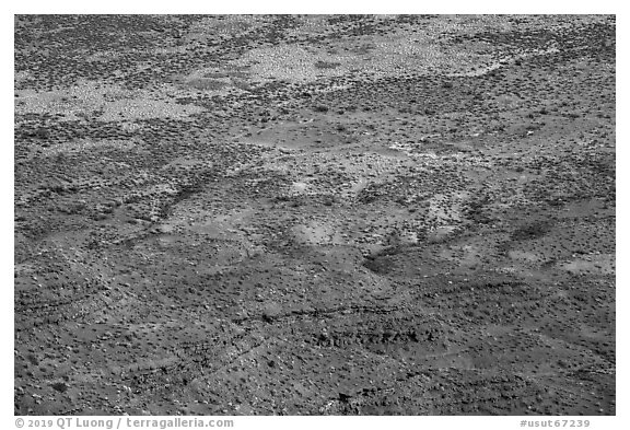 Distant detail, Valley of the Goods floor. Bears Ears National Monument, Utah, USA (black and white)