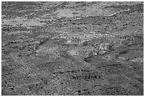 Distant detail, Valley of the Goods floor. Bears Ears National Monument, Utah, USA ( black and white)