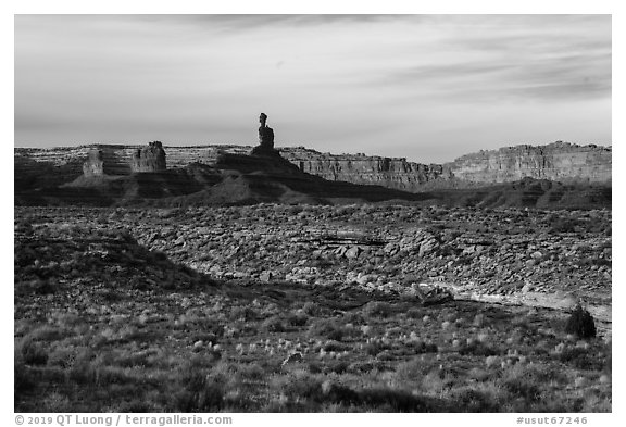 Valley of the Gods with Cedar Mesa Cliffs. Bears Ears National Monument, Utah, USA (black and white)
