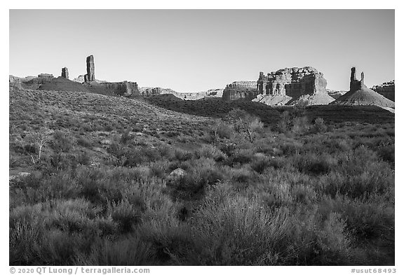 Desert vegetation, butte and spires, Valley of the Gods. Bears Ears National Monument, Utah, USA