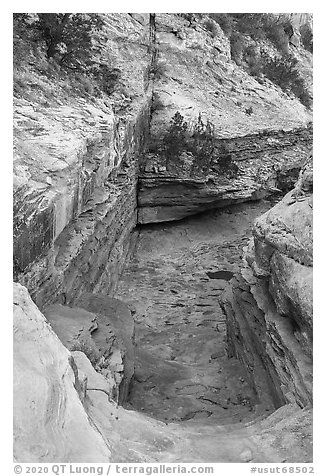 Slickrock chute, Bullet Canyon. Bears Ears National Monument, Utah, USA