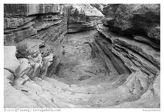 Sloping Slickrock chute, Bullet Canyon. Bears Ears National Monument, Utah, USA (black and white)