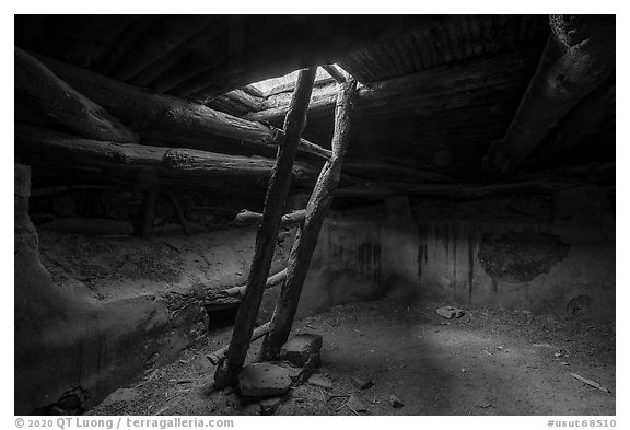 Ladder and Kiva. Bears Ears National Monument, Utah, USA