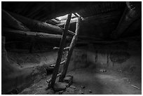 Ladder and Kiva. Bears Ears National Monument, Utah, USA ( black and white)