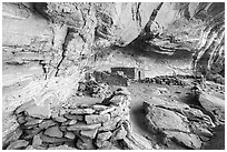 Ruins in alcove, Perfect Kiva complex. Bears Ears National Monument, Utah, USA ( black and white)