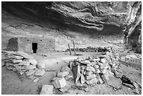 Kiva and ruin with doorway. Bears Ears National Monument, Utah, USA ( black and white)