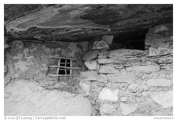 Jailhouse Ruin, lower level. Bears Ears National Monument, Utah, USA (black and white)