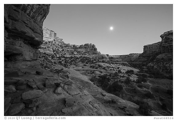 Bullet Canyon and moon at twilight. Bears Ears National Monument, Utah, USA (black and white)
