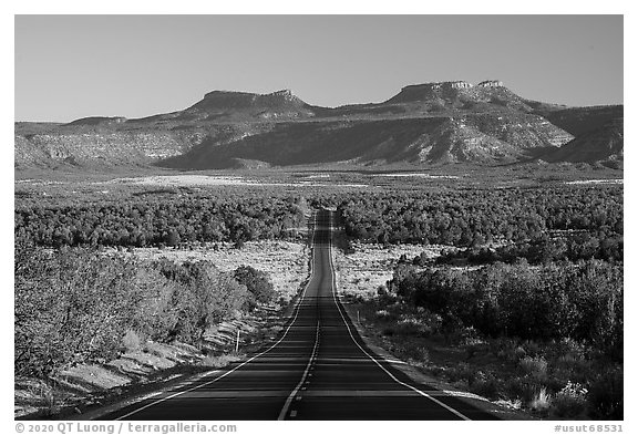 Highway 261 and Bears Ears Buttes. Bears Ears National Monument, Utah, USA (black and white)