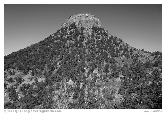 West Bears Ears Butte. Bears Ears National Monument, Utah, USA (black and white)