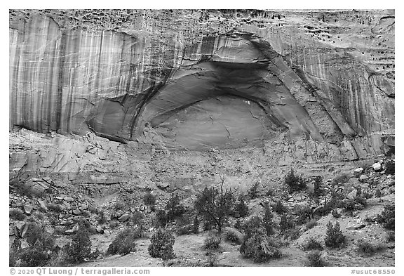 Alcove, Long Canyon. Grand Staircase Escalante National Monument, Utah, USA (black and white)