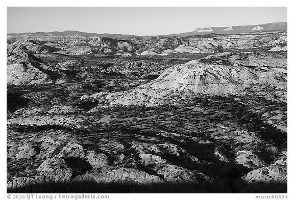 Slickrock domes. Grand Staircase Escalante National Monument, Utah, USA (black and white)