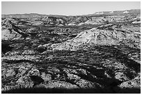 Slickrock domes. Grand Staircase Escalante National Monument, Utah, USA ( black and white)