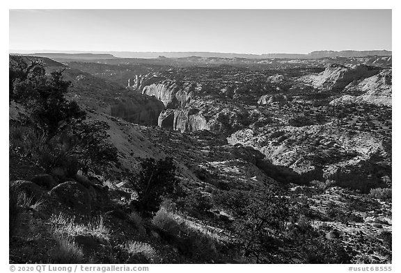 Canyons from Hogback Ridge. Grand Staircase Escalante National Monument, Utah, USA (black and white)