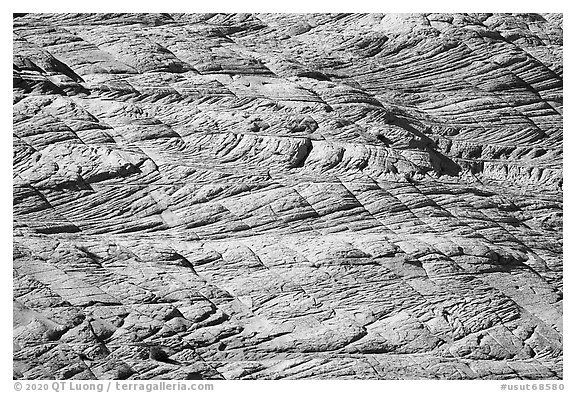 Crossbedded Petrified Dunes, Burr Trail. Grand Staircase Escalante National Monument, Utah, USA (black and white)