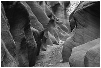 Willis Creek slot canyon. Grand Staircase Escalante National Monument, Utah, USA ( black and white)