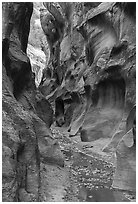Slot canyon with Willis Creek flowing. Grand Staircase Escalante National Monument, Utah, USA ( black and white)