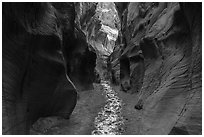 dark Willis Creek narrows. Grand Staircase Escalante National Monument, Utah, USA ( black and white)