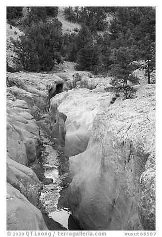 Willis Creek carving into sandstone. Grand Staircase Escalante National Monument, Utah, USA