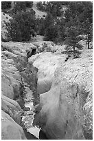 Willis Creek carving into sandstone. Grand Staircase Escalante National Monument, Utah, USA ( black and white)