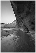 Paria River and Windows at dawn. Grand Staircase Escalante National Monument, Utah, USA ( black and white)