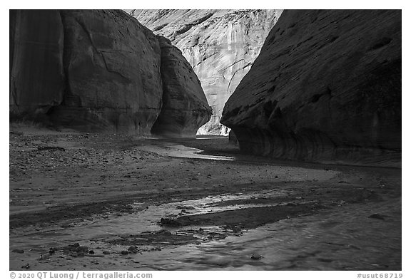 Paria River braids in Paria Canyon. Grand Staircase Escalante National Monument, Utah, USA (black and white)