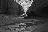 Paria River braids in Paria Canyon. Grand Staircase Escalante National Monument, Utah, USA ( black and white)