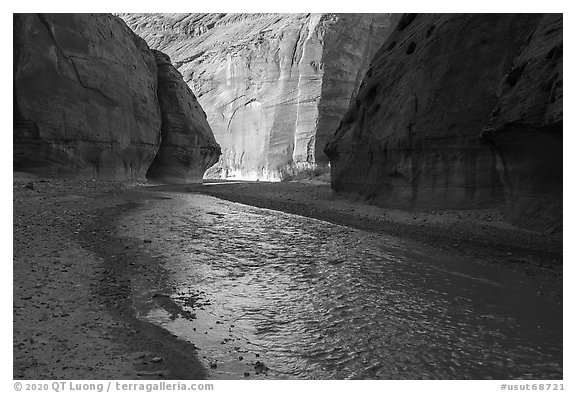 Paria Canyon cliffs reflected in Paria River. Grand Staircase Escalante National Monument, Utah, USA (black and white)