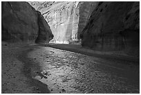 Paria Canyon cliffs reflected in Paria River. Grand Staircase Escalante National Monument, Utah, USA ( black and white)