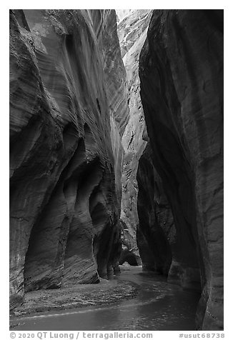 Glow in tall canyon walls. Vermilion Cliffs National Monument, Arizona, USA (black and white)