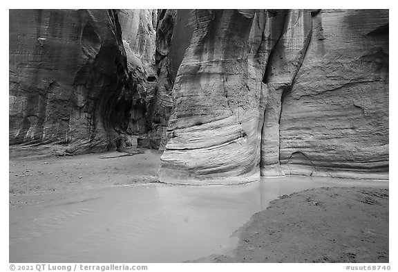 Confluence of Paria Canyon and Buckskin Gulch. Paria Canyon Vermilion Cliffs Wilderness, Arizona, USA