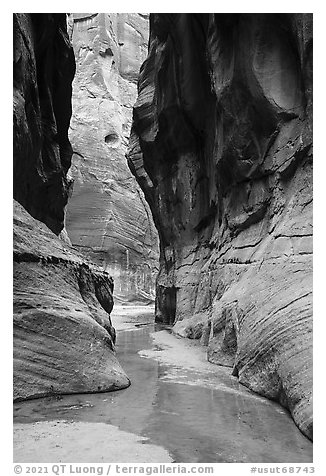 Buckskin Gulch near its confluence with Paria Canyon. Paria Canyon Vermilion Cliffs Wilderness, Arizona, USA