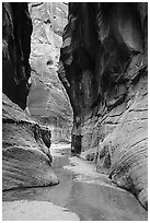 Buckskin Gulch near its confluence with Paria Canyon. Paria Canyon Vermilion Cliffs Wilderness, Arizona, USA ( black and white)