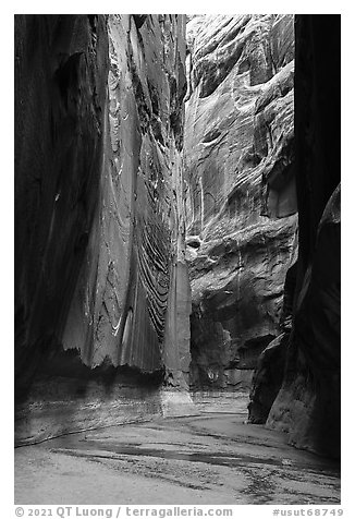 Buckskin Gulch slot canyon. Paria Canyon Vermilion Cliffs Wilderness, Arizona, USA