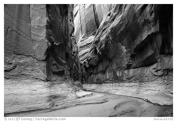 Dark and tall walls of Buckskin Gulch. Paria Canyon Vermilion Cliffs Wilderness, Arizona, USA (black and white)