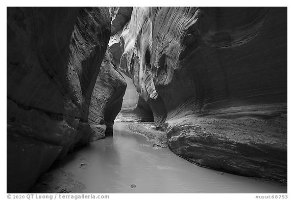 Muddy waters of the Paria River in Paria Canyon. Vermilion Cliffs National Monument, Arizona, USA (black and white)