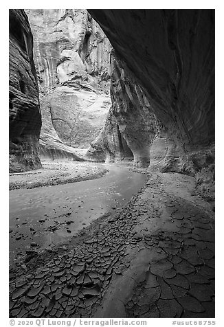 Paria River Canyon with cracked mud. Vermilion Cliffs National Monument, Arizona, USA (black and white)