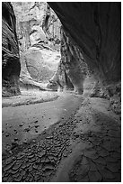 Paria River Canyon with cracked mud. Vermilion Cliffs National Monument, Arizona, USA ( black and white)