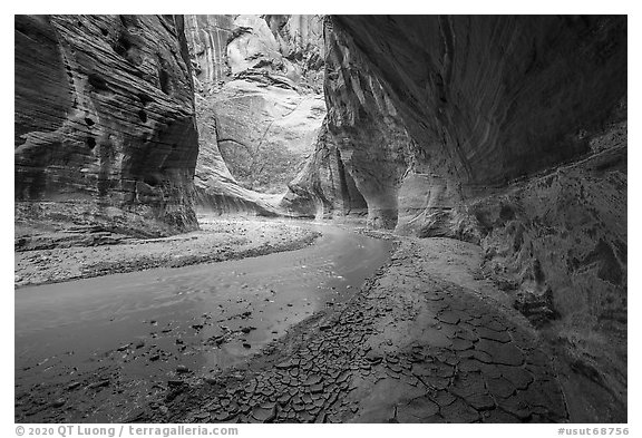 Craked mud along the Paria River in canyon. Vermilion Cliffs National Monument, Arizona, USA (black and white)