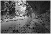 Craked mud along the Paria River in canyon. Vermilion Cliffs National Monument, Arizona, USA ( black and white)