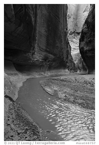 Paria River flowing in narrow canyon. Paria Canyon Vermilion Cliffs Wilderness, Arizona, USA (black and white)